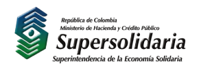 Supersolidaria