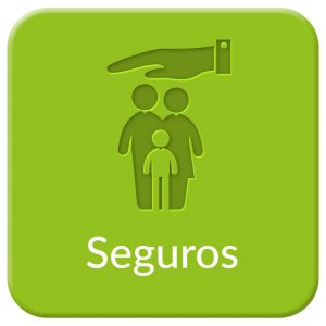 Seguros