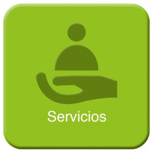 Servicios